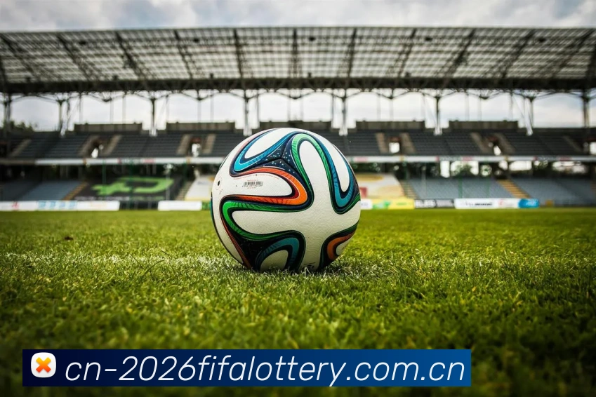 FIFA官方彩票数据授权证书